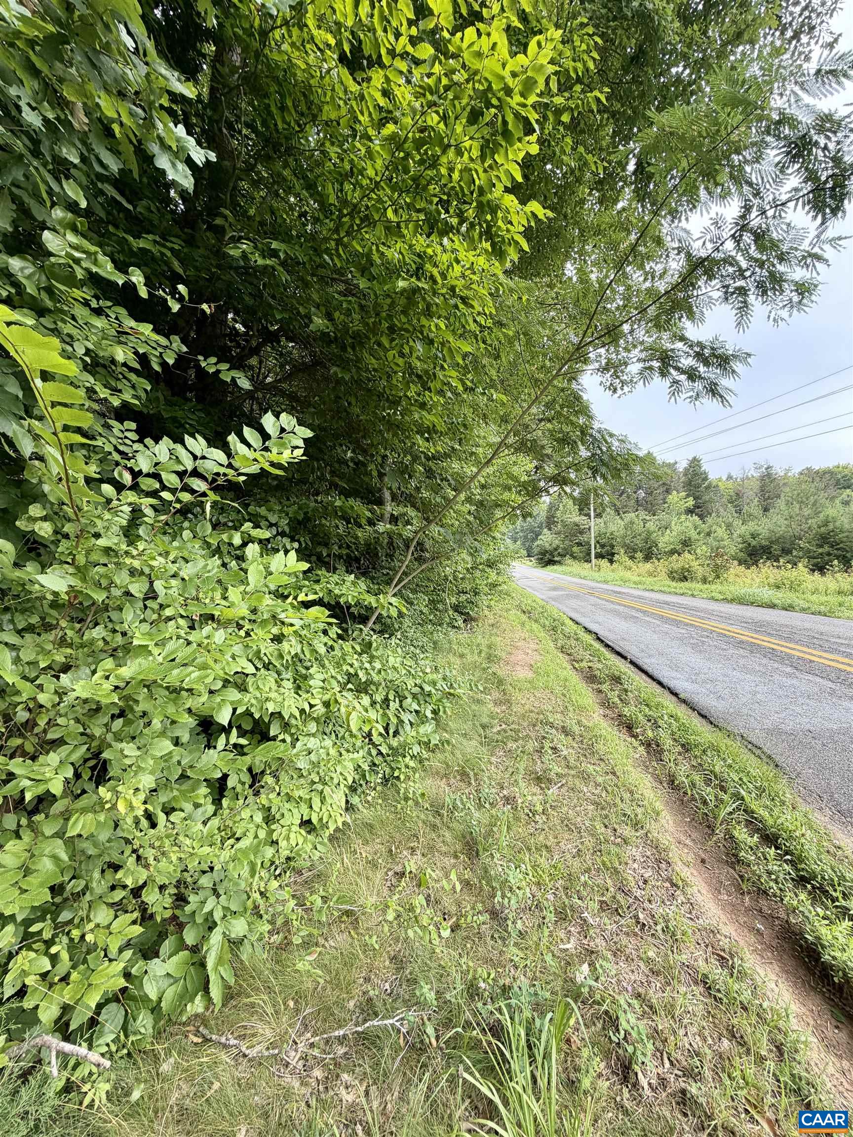 0 W CHAPEL DR, BUMPASS, Virginia 23024, ,Land,0 W CHAPEL DR,679407 MLS # 679407 0 W CHAPEL DR, BUMPASS, Virginia 23024, ,Land,0 W CHAPEL DR,679407 MLS # 679407