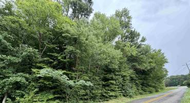 0 W CHAPEL DR, BUMPASS, Virginia 23024, ,Land,0 W CHAPEL DR,679407 MLS # 679407