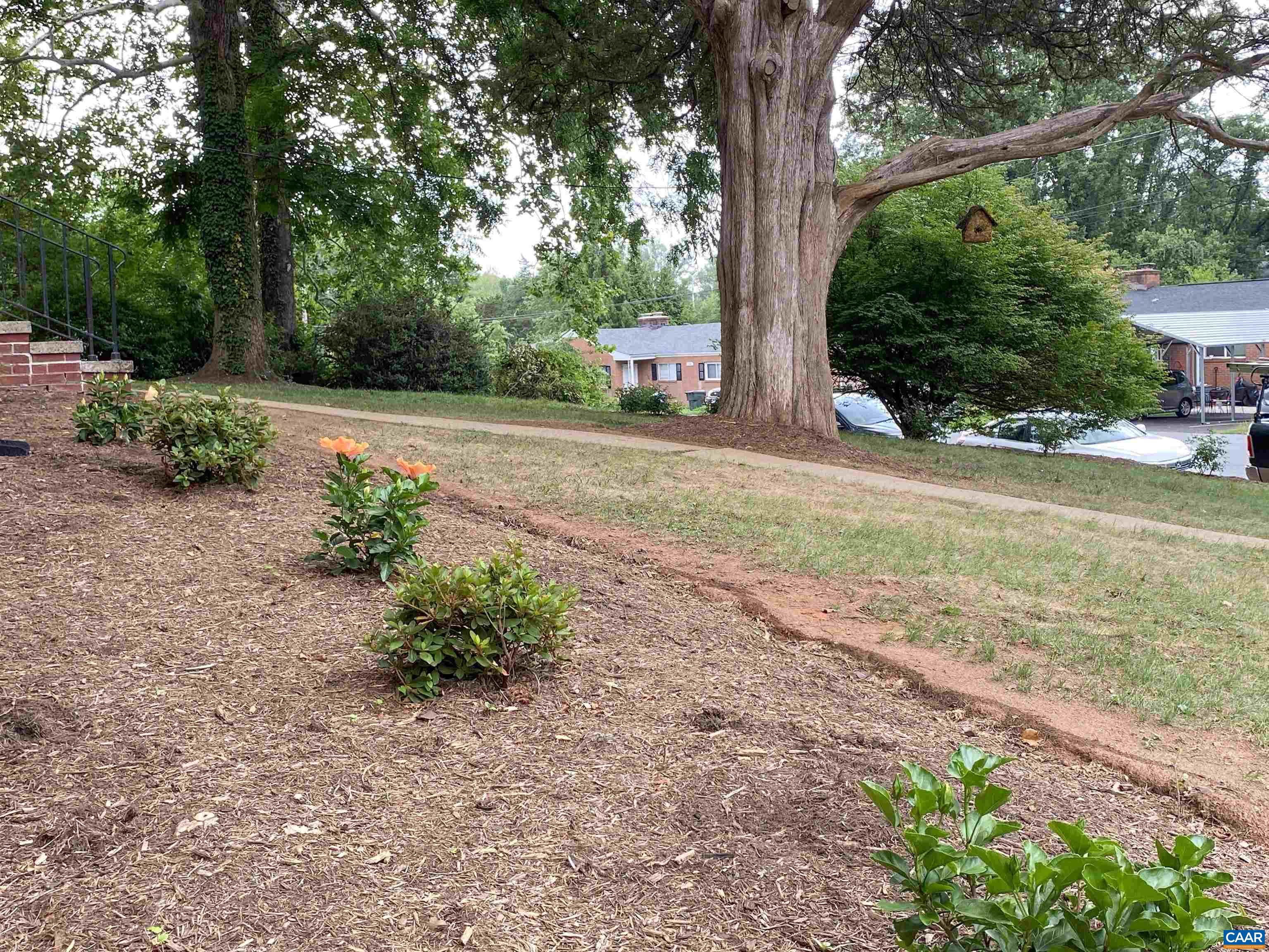 2305 WAYNE AVE, CHARLOTTESVILLE, Virginia 22901, 3 Bedrooms Bedrooms, ,2 BathroomsBathrooms,Residential,NEWLY UPDATED and GORGEOUS!,2305 WAYNE AVE,679334 MLS # 679334 2305 WAYNE AVE, CHARLOTTESVILLE, Virginia 22901, 3 Bedrooms Bedrooms, ,2 BathroomsBathrooms,Residential,NEWLY UPDATED and GORGEOUS!,2305 WAYNE AVE,679334 MLS # 679334