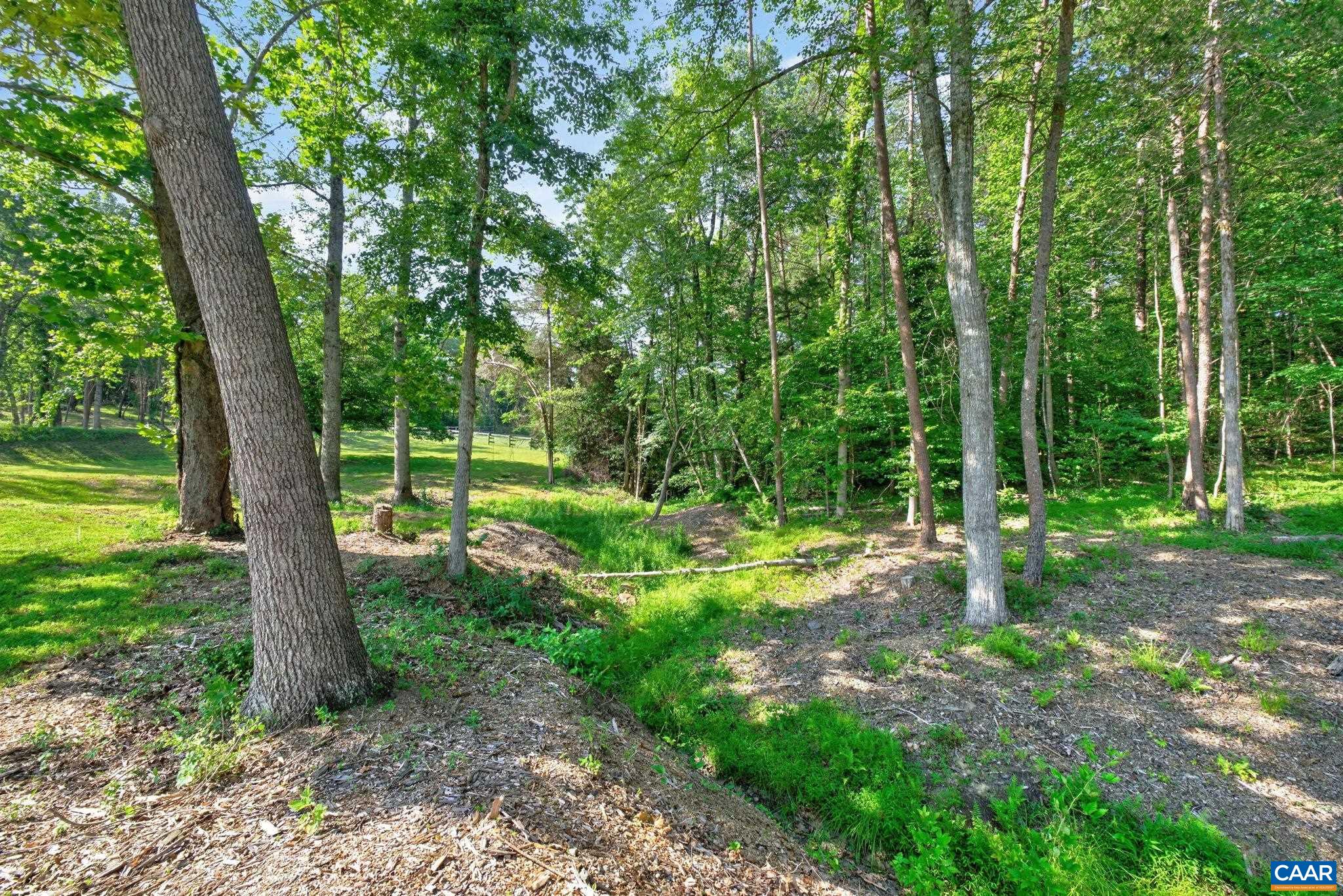 288 DAWSONVILLE RD, BARBOURSVILLE, Virginia 22923, 4 Bedrooms Bedrooms, ,3 BathroomsBathrooms,Residential,288 DAWSONVILLE RD,679412 MLS # 679412 288 DAWSONVILLE RD, BARBOURSVILLE, Virginia 22923, 4 Bedrooms Bedrooms, ,3 BathroomsBathrooms,Residential,288 DAWSONVILLE RD,679412 MLS # 679412