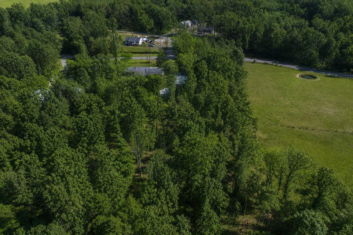 20174 EDWARDS SHOP RD, ELKWOOD, Virginia 22718, 3 Bedrooms Bedrooms, ,2 BathroomsBathrooms,Residential,20174 EDWARDS SHOP RD,VACU2014412 MLS # VACU2014412 20174 EDWARDS SHOP RD, ELKWOOD, Virginia 22718, 3 Bedrooms Bedrooms, ,2 BathroomsBathrooms,Residential,20174 EDWARDS SHOP RD,VACU2014412 MLS # VACU2014412