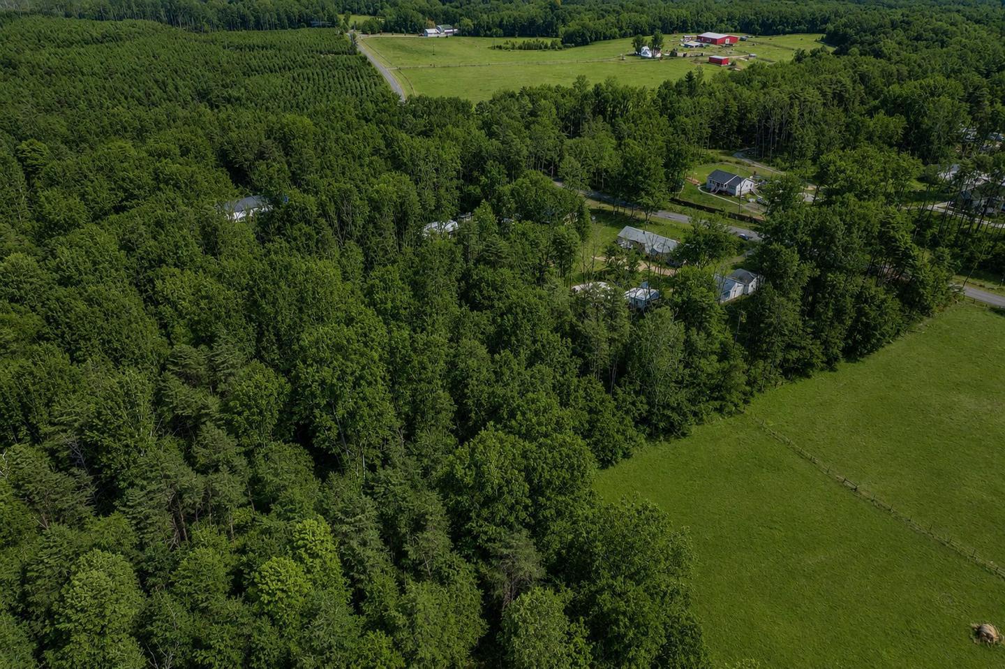 20174 EDWARDS SHOP RD, ELKWOOD, Virginia 22718, 3 Bedrooms Bedrooms, ,2 BathroomsBathrooms,Residential,20174 EDWARDS SHOP RD,VACU2014412 MLS # VACU2014412 20174 EDWARDS SHOP RD, ELKWOOD, Virginia 22718, 3 Bedrooms Bedrooms, ,2 BathroomsBathrooms,Residential,20174 EDWARDS SHOP RD,VACU2014412 MLS # VACU2014412