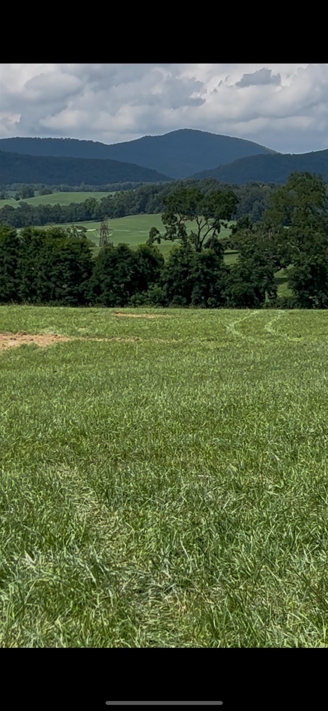 TBD ROUDABUSH LN, CHURCHVILLE, Virginia 24421, ,Land,TBD ROUDABUSH LN,679427 MLS # 679427 TBD ROUDABUSH LN, CHURCHVILLE, Virginia 24421, ,Land,TBD ROUDABUSH LN,679427 MLS # 679427