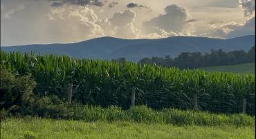 TBD ROUDABUSH LN, CHURCHVILLE, Virginia 24421, ,Land,TBD ROUDABUSH LN,679427 MLS # 679427