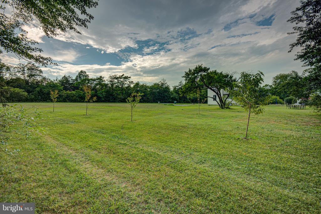 24177 RAPIDAN RD, MITCHELLS, Virginia 22729, 3 Bedrooms Bedrooms, ,1 BathroomBathrooms,Residential,24177 RAPIDAN RD,VACU2014414 MLS # VACU2014414