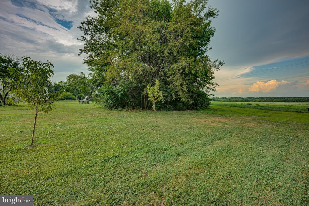 24177 RAPIDAN RD, MITCHELLS, Virginia 22729, 3 Bedrooms Bedrooms, ,1 BathroomBathrooms,Residential,24177 RAPIDAN RD,VACU2014414 MLS # VACU2014414