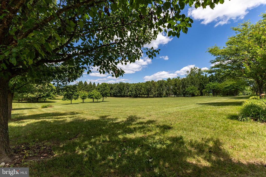 825 PARKVIEW ESTATES RD, LURAY, Virginia 22835, 2 Bedrooms Bedrooms, ,2 BathroomsBathrooms,Residential,825 PARKVIEW ESTATES RD,VAPA2006574 MLS # VAPA2006574 825 PARKVIEW ESTATES RD, LURAY, Virginia 22835, 2 Bedrooms Bedrooms, ,2 BathroomsBathrooms,Residential,825 PARKVIEW ESTATES RD,VAPA2006574 MLS # VAPA2006574
