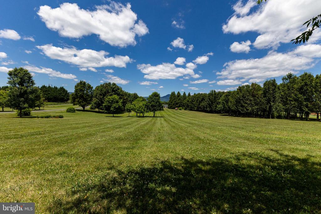 825 PARKVIEW ESTATES RD, LURAY, Virginia 22835, 2 Bedrooms Bedrooms, ,2 BathroomsBathrooms,Residential,825 PARKVIEW ESTATES RD,VAPA2006574 MLS # VAPA2006574 825 PARKVIEW ESTATES RD, LURAY, Virginia 22835, 2 Bedrooms Bedrooms, ,2 BathroomsBathrooms,Residential,825 PARKVIEW ESTATES RD,VAPA2006574 MLS # VAPA2006574