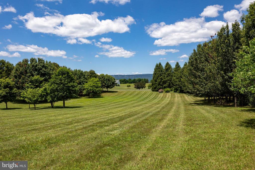 825 PARKVIEW ESTATES RD, LURAY, Virginia 22835, 2 Bedrooms Bedrooms, ,2 BathroomsBathrooms,Residential,825 PARKVIEW ESTATES RD,VAPA2006574 MLS # VAPA2006574 825 PARKVIEW ESTATES RD, LURAY, Virginia 22835, 2 Bedrooms Bedrooms, ,2 BathroomsBathrooms,Residential,825 PARKVIEW ESTATES RD,VAPA2006574 MLS # VAPA2006574