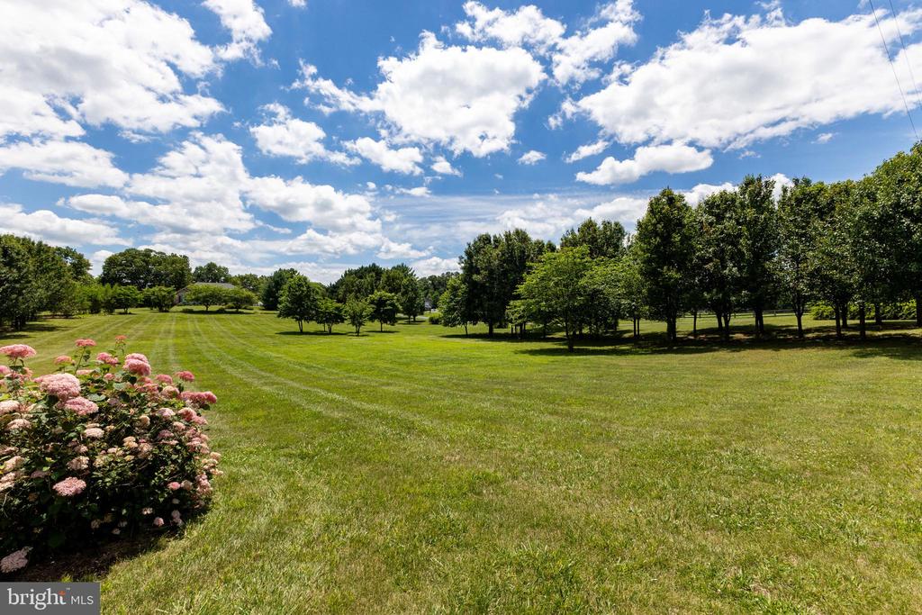 825 PARKVIEW ESTATES RD, LURAY, Virginia 22835, 2 Bedrooms Bedrooms, ,2 BathroomsBathrooms,Residential,825 PARKVIEW ESTATES RD,VAPA2006574 MLS # VAPA2006574 825 PARKVIEW ESTATES RD, LURAY, Virginia 22835, 2 Bedrooms Bedrooms, ,2 BathroomsBathrooms,Residential,825 PARKVIEW ESTATES RD,VAPA2006574 MLS # VAPA2006574