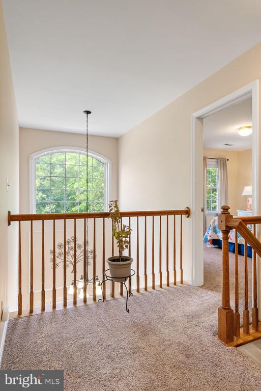 11125 BLUE HERRON CIR, SPOTSYLVANIA, Virginia 22553, 5 Bedrooms Bedrooms, ,3 BathroomsBathrooms,Residential,11125 BLUE HERRON CIR,VASP2043616 MLS # VASP2043616 11125 BLUE HERRON CIR, SPOTSYLVANIA, Virginia 22553, 5 Bedrooms Bedrooms, ,3 BathroomsBathrooms,Residential,11125 BLUE HERRON CIR,VASP2043616 MLS # VASP2043616