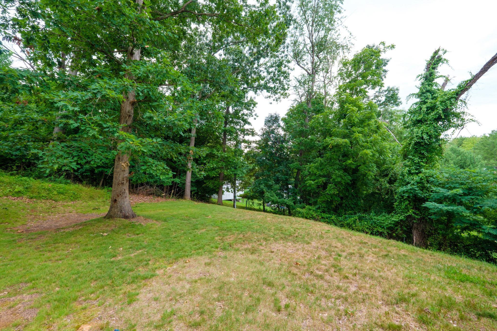 45 MORRIS MILL RD, STAUNTON, Virginia 24401, ,Residential,45 MORRIS MILL RD,679452 MLS # 679452