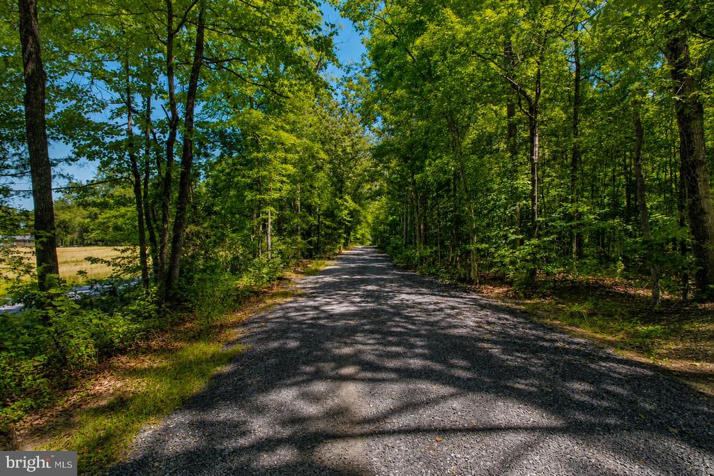 4319 HADAMAR RD, SPOTSYLVANIA, Virginia 22551, 5 Bedrooms Bedrooms, ,3 BathroomsBathrooms,Residential,4319 HADAMAR RD,VASP2042564 MLS # VASP2042564