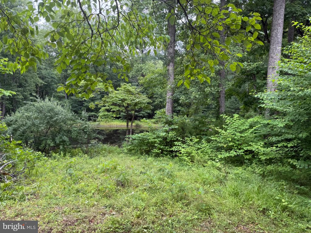 6334 W HOOVER RD, REVA, Virginia 22735, 3 Bedrooms Bedrooms, ,1 BathroomBathrooms,Residential,6334 W HOOVER RD,VAMA2002862 MLS # VAMA2002862 6334 W HOOVER RD, REVA, Virginia 22735, 3 Bedrooms Bedrooms, ,1 BathroomBathrooms,Residential,6334 W HOOVER RD,VAMA2002862 MLS # VAMA2002862