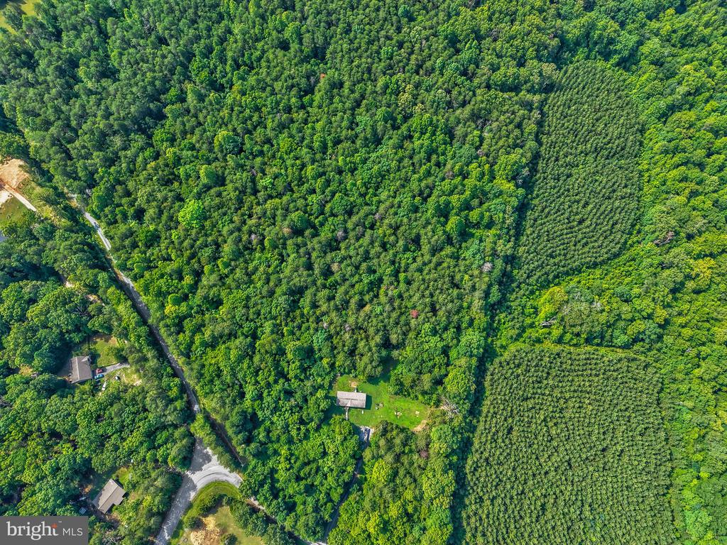 8275 GRANITE SPRINGS RD, SPOTSYLVANIA, Virginia 22551, 3 Bedrooms Bedrooms, ,2 BathroomsBathrooms,Residential,8275 GRANITE SPRINGS RD,VASP2043818 MLS # VASP2043818 8275 GRANITE SPRINGS RD, SPOTSYLVANIA, Virginia 22551, 3 Bedrooms Bedrooms, ,2 BathroomsBathrooms,Residential,8275 GRANITE SPRINGS RD,VASP2043818 MLS # VASP2043818