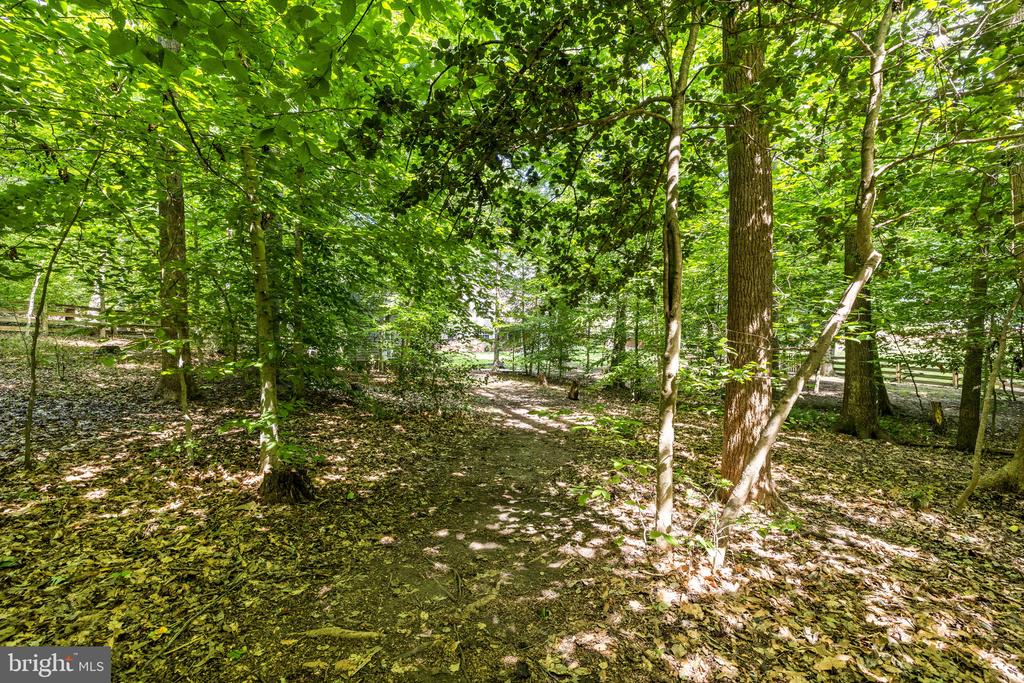 8101 AVOCET WAY, SPOTSYLVANIA, Virginia 22553, 4 Bedrooms Bedrooms, ,3 BathroomsBathrooms,Residential,8101 AVOCET WAY,VASP2043322 MLS # VASP2043322 8101 AVOCET WAY, SPOTSYLVANIA, Virginia 22553, 4 Bedrooms Bedrooms, ,3 BathroomsBathrooms,Residential,8101 AVOCET WAY,VASP2043322 MLS # VASP2043322