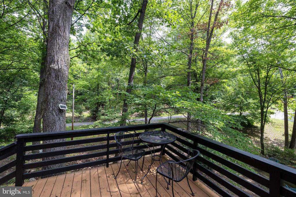 160 PINEY KNOLL PL, SHENANDOAH, Virginia 22849, 1 Bedroom Bedrooms, ,1 BathroomBathrooms,Residential,160 PINEY KNOLL PL,VAPA2006656 MLS # VAPA2006656 160 PINEY KNOLL PL, SHENANDOAH, Virginia 22849, 1 Bedroom Bedrooms, ,1 BathroomBathrooms,Residential,160 PINEY KNOLL PL,VAPA2006656 MLS # VAPA2006656