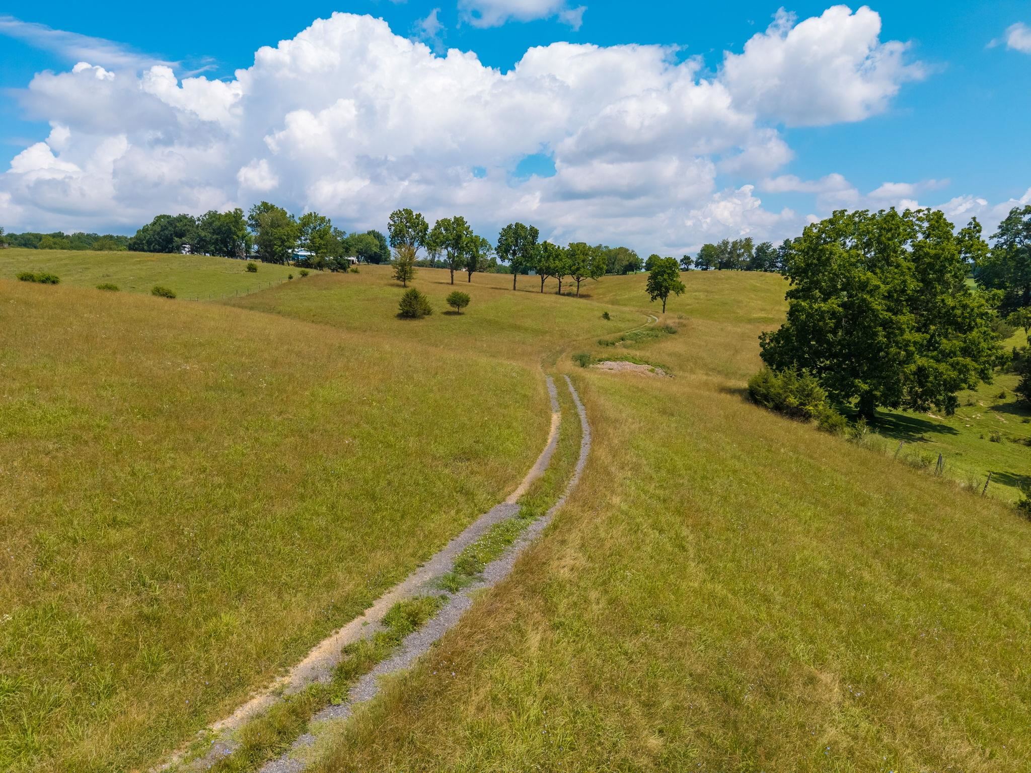 TBD MIDDLEBROOK RD, STAUNTON, Virginia 24401, ,Farm,TBD MIDDLEBROOK RD,679486 MLS # 679486
