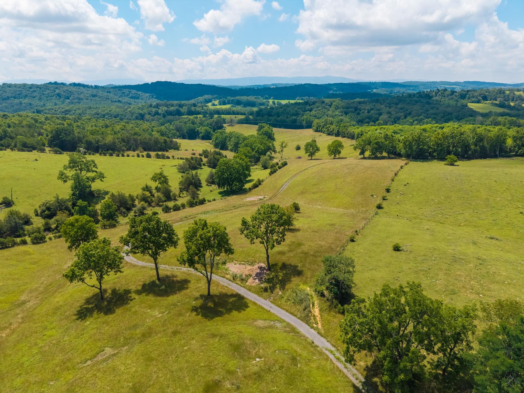 TBD MIDDLEBROOK RD, STAUNTON, Virginia 24401, ,Farm,TBD MIDDLEBROOK RD,679486 MLS # 679486