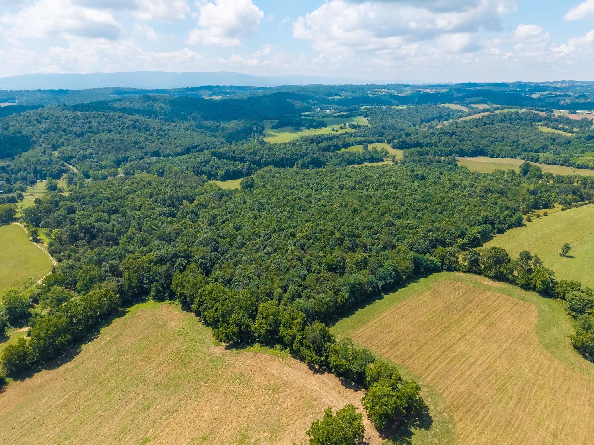 TBD MIDDLEBROOK RD, STAUNTON, Virginia 24401, ,Farm,TBD MIDDLEBROOK RD,679486 MLS # 679486