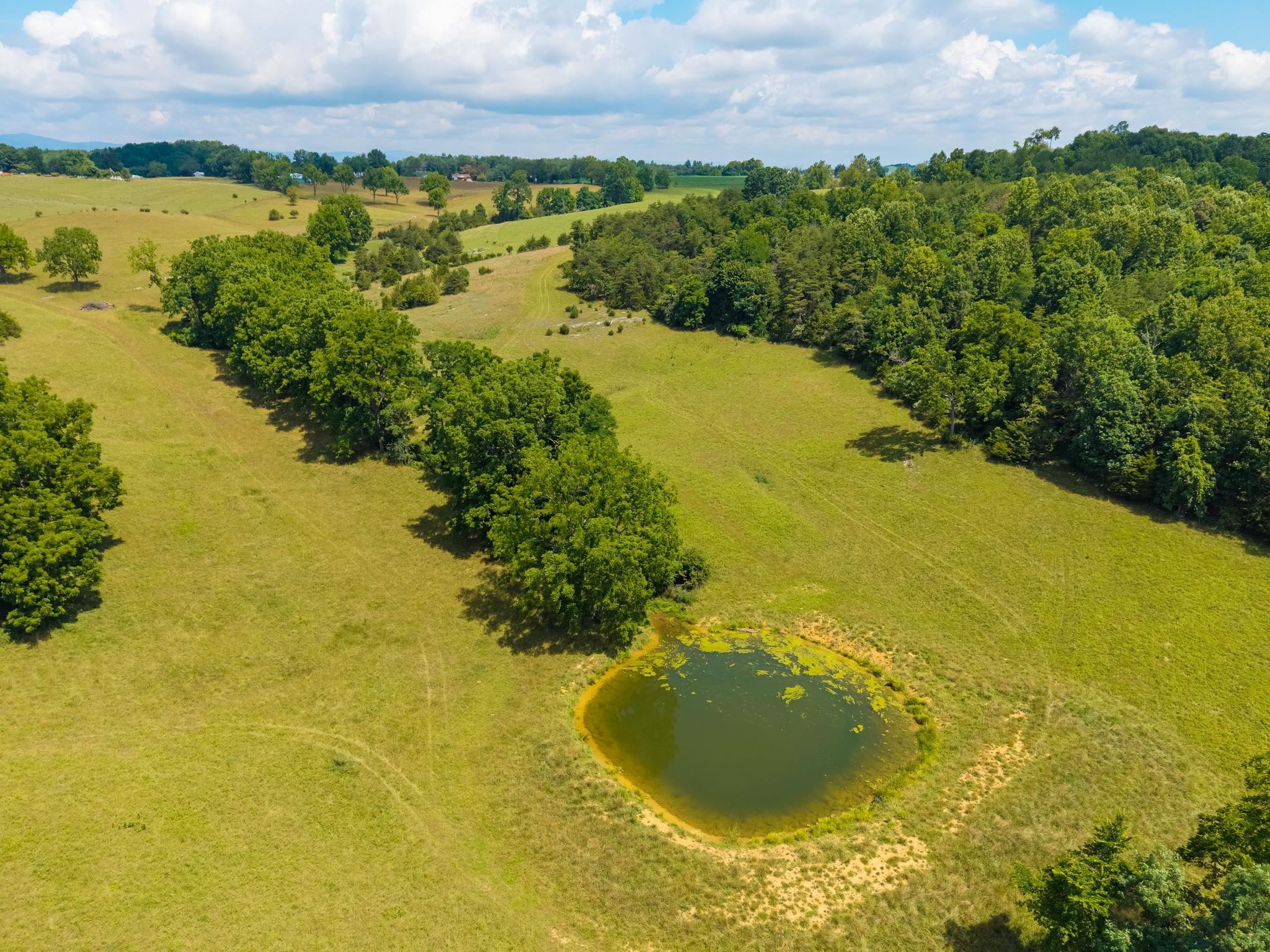 TBD MIDDLEBROOK RD, STAUNTON, Virginia 24401, ,Farm,TBD MIDDLEBROOK RD,679486 MLS # 679486