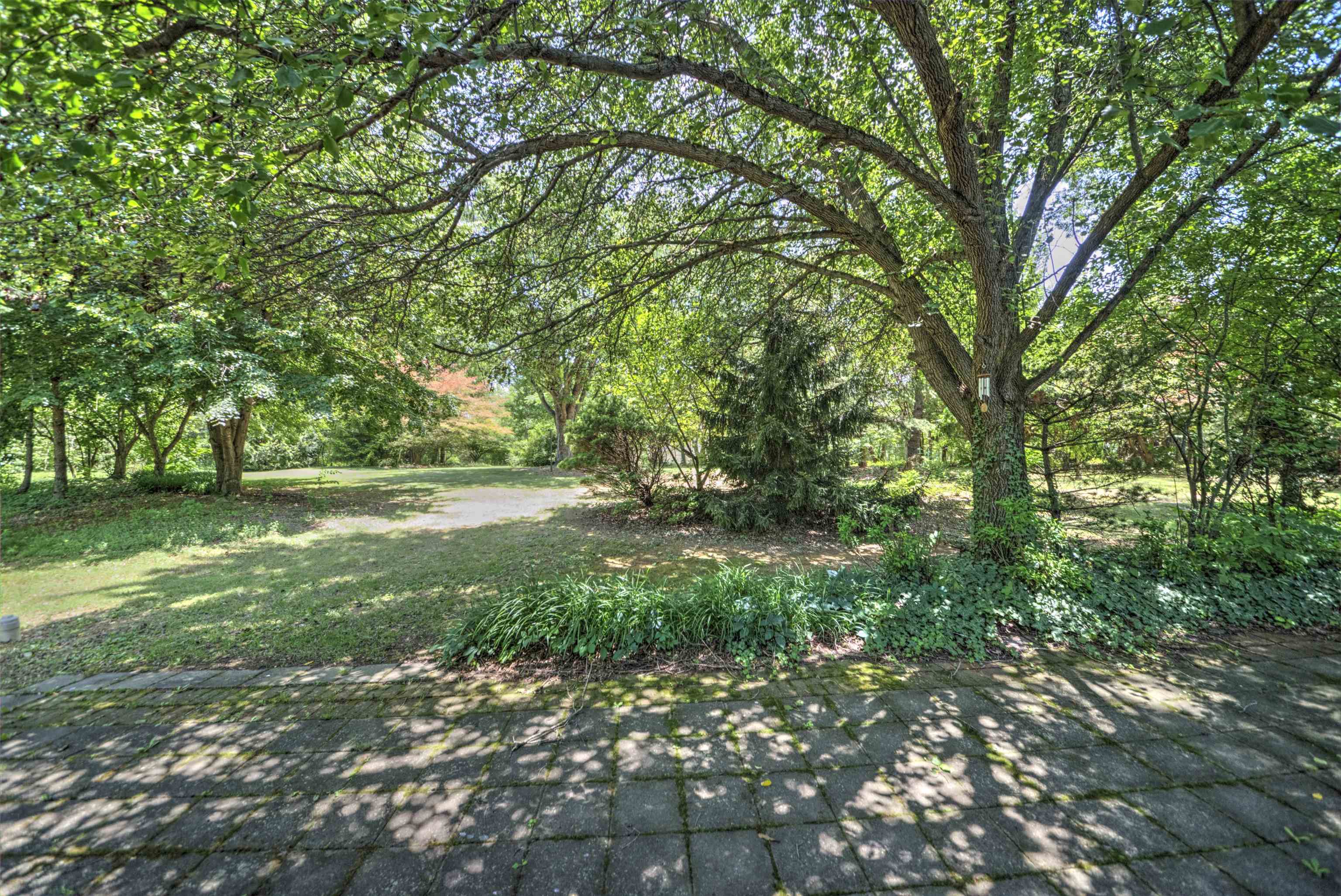 1667 LAUREL HILL RD, VERONA, Virginia 24482, 3 Bedrooms Bedrooms, ,2 BathroomsBathrooms,Residential,1667 LAUREL HILL RD,679497 MLS # 679497 1667 LAUREL HILL RD, VERONA, Virginia 24482, 3 Bedrooms Bedrooms, ,2 BathroomsBathrooms,Residential,1667 LAUREL HILL RD,679497 MLS # 679497