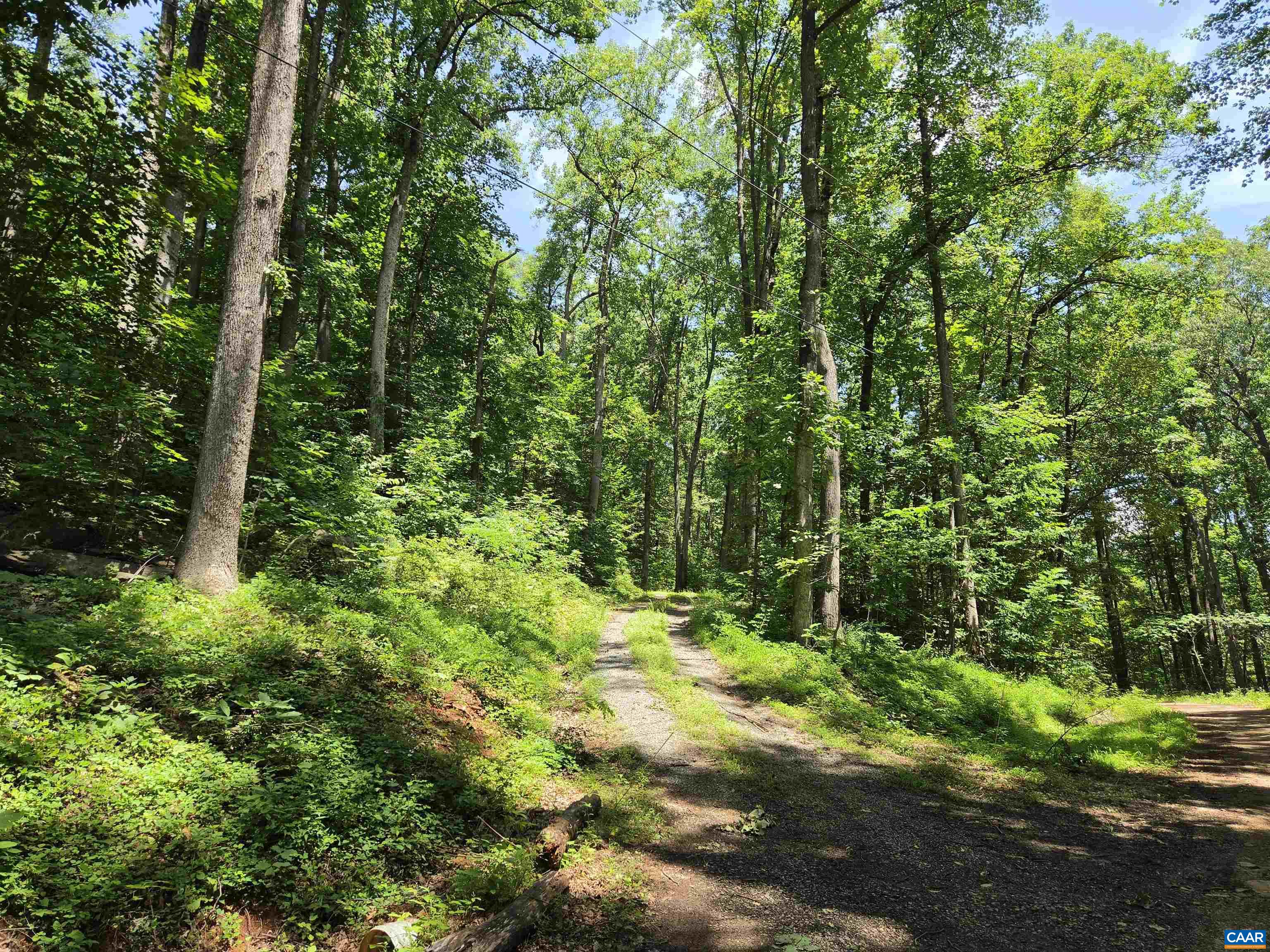 Lots 44 & 45 RED BIRD DR, STANARDSVILLE, Virginia 22973, ,Land,Lots 44 & 45 RED BIRD DR,679490 MLS # 679490 Lots 44 & 45 RED BIRD DR, STANARDSVILLE, Virginia 22973, ,Land,Lots 44 & 45 RED BIRD DR,679490 MLS # 679490