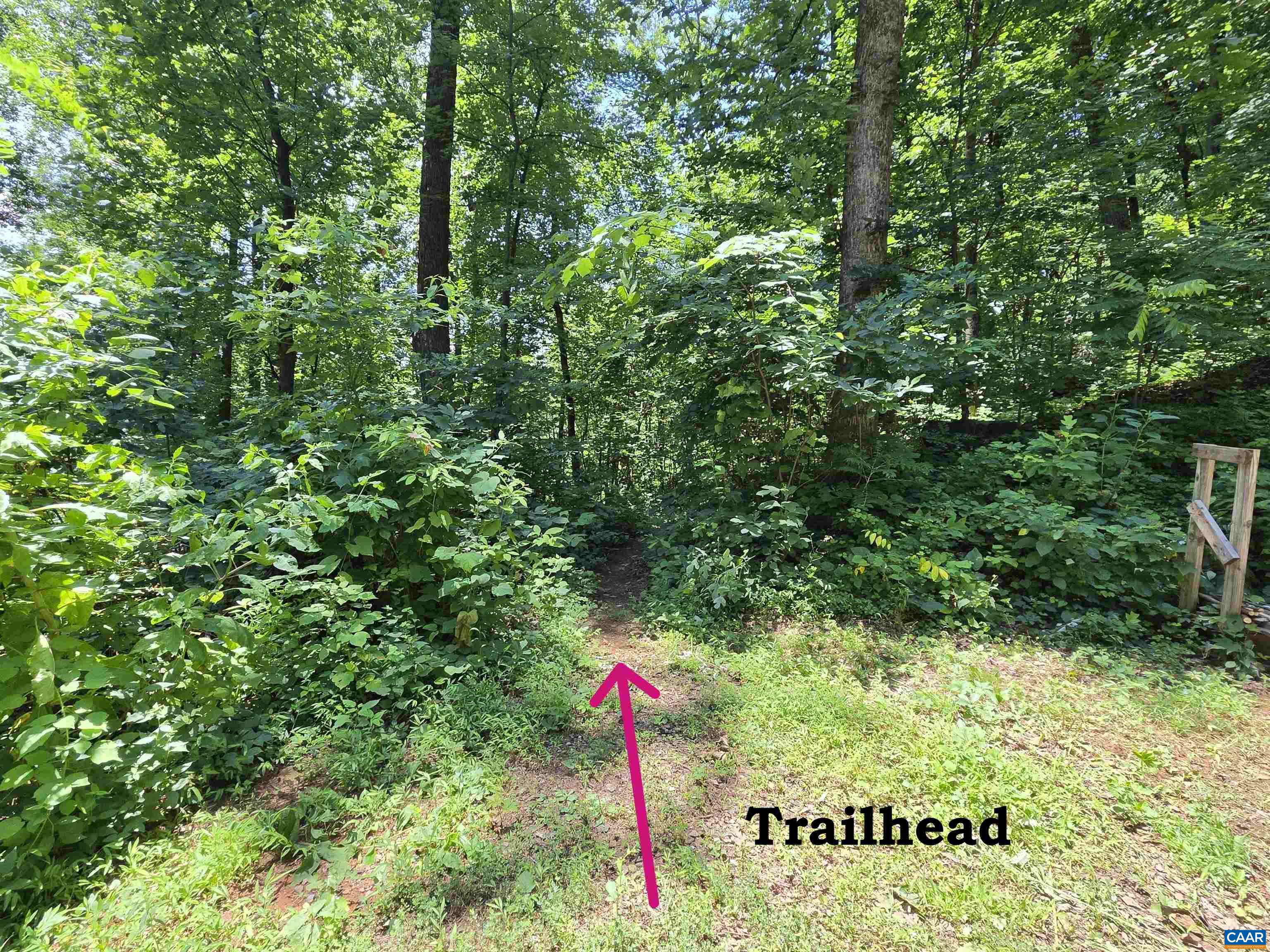 Lots 44 & 45 RED BIRD DR, STANARDSVILLE, Virginia 22973, ,Land,Lots 44 & 45 RED BIRD DR,679490 MLS # 679490 Lots 44 & 45 RED BIRD DR, STANARDSVILLE, Virginia 22973, ,Land,Lots 44 & 45 RED BIRD DR,679490 MLS # 679490