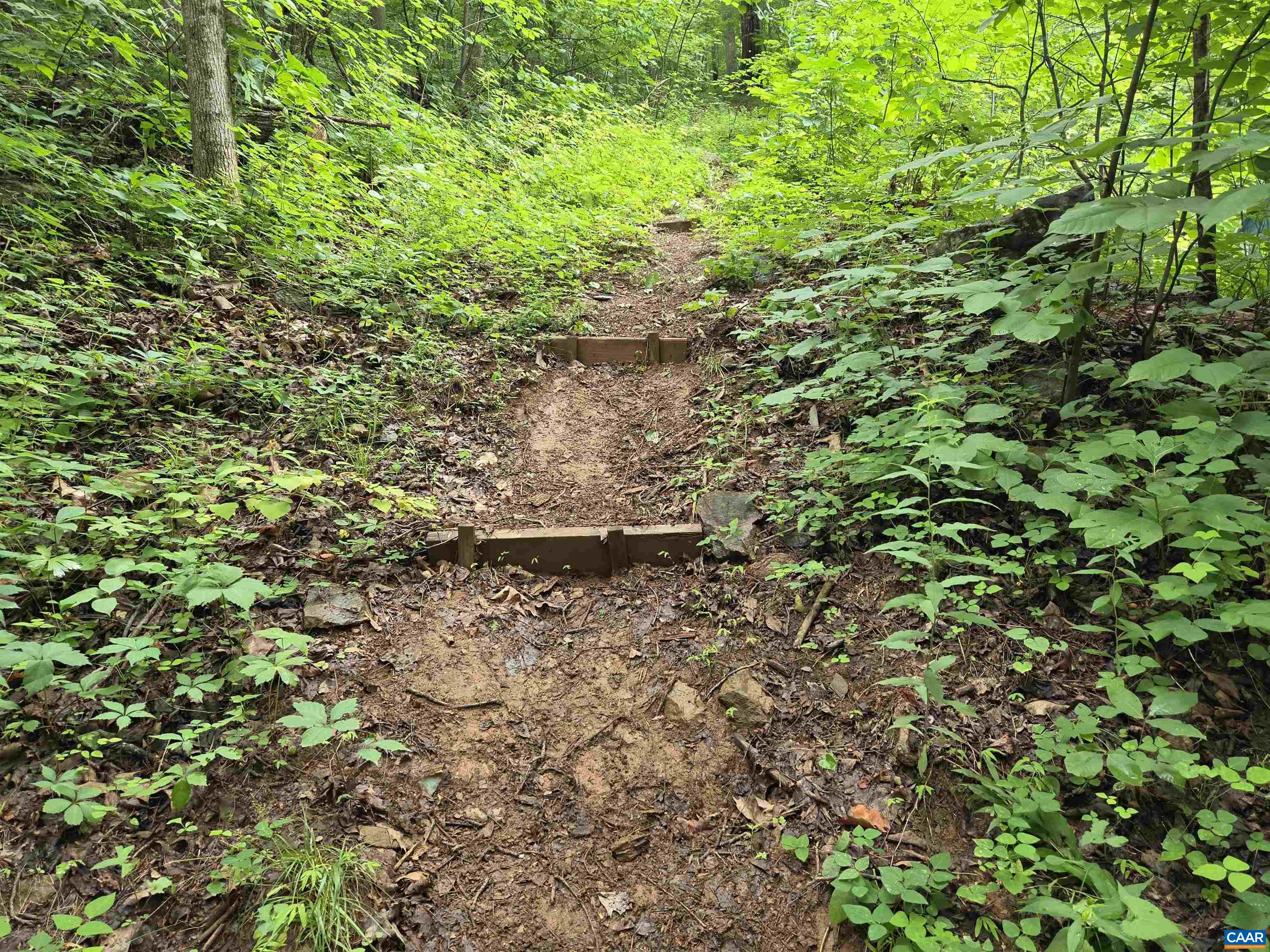 Lots 44 & 45 RED BIRD DR, STANARDSVILLE, Virginia 22973, ,Land,Lots 44 & 45 RED BIRD DR,679490 MLS # 679490 Lots 44 & 45 RED BIRD DR, STANARDSVILLE, Virginia 22973, ,Land,Lots 44 & 45 RED BIRD DR,679490 MLS # 679490