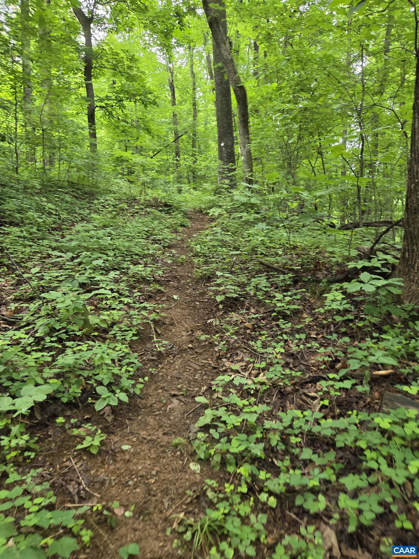 Lots 44 & 45 RED BIRD DR, STANARDSVILLE, Virginia 22973, ,Land,Lots 44 & 45 RED BIRD DR,679490 MLS # 679490 Lots 44 & 45 RED BIRD DR, STANARDSVILLE, Virginia 22973, ,Land,Lots 44 & 45 RED BIRD DR,679490 MLS # 679490