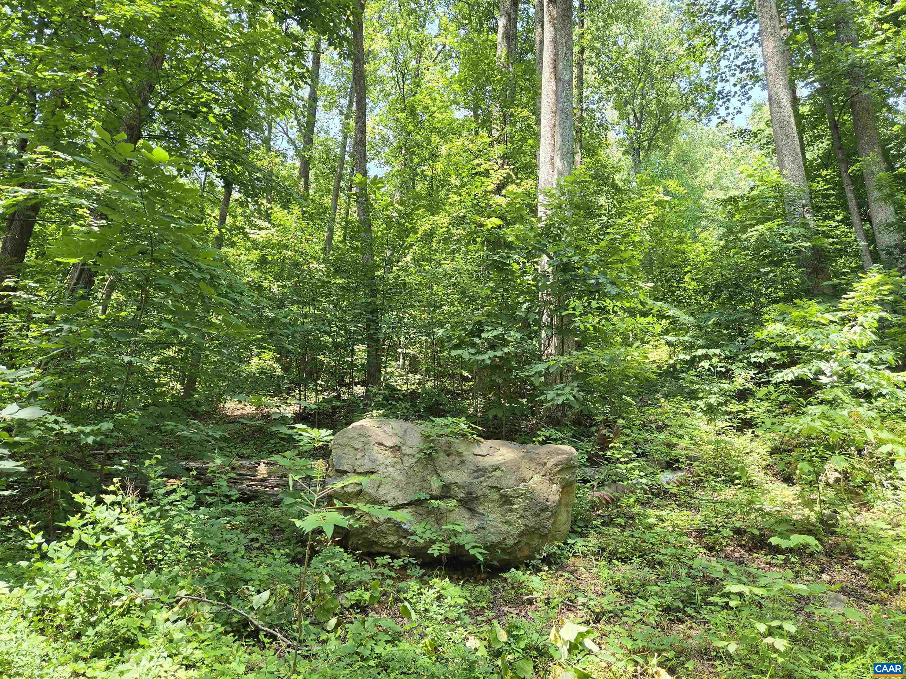 Lots 44 & 45 RED BIRD DR, STANARDSVILLE, Virginia 22973, ,Land,Lots 44 & 45 RED BIRD DR,679490 MLS # 679490 Lots 44 & 45 RED BIRD DR, STANARDSVILLE, Virginia 22973, ,Land,Lots 44 & 45 RED BIRD DR,679490 MLS # 679490