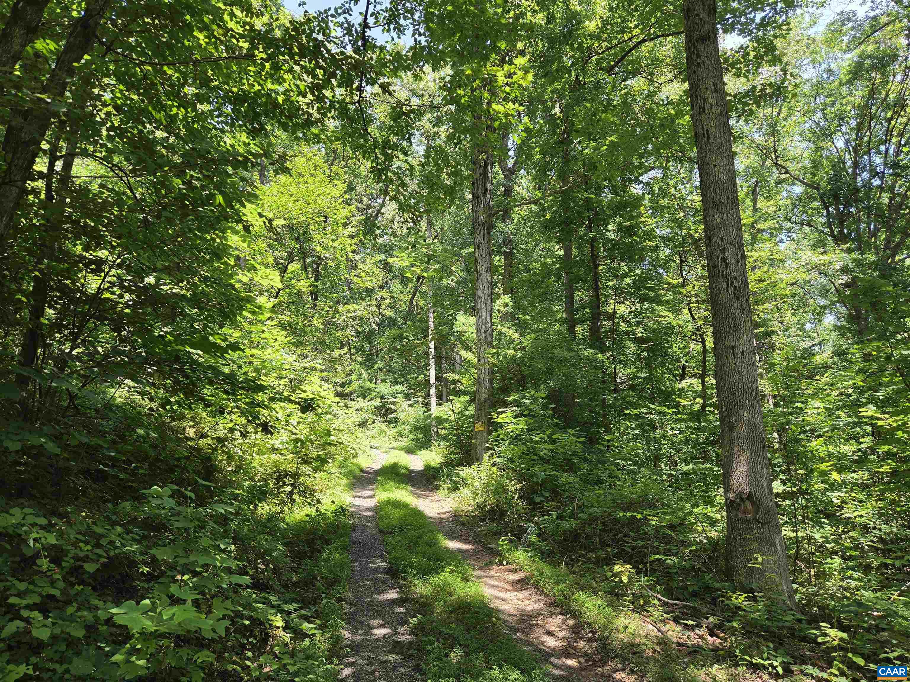 Lots 44 & 45 RED BIRD DR, STANARDSVILLE, Virginia 22973, ,Land,Lots 44 & 45 RED BIRD DR,679490 MLS # 679490 Lots 44 & 45 RED BIRD DR, STANARDSVILLE, Virginia 22973, ,Land,Lots 44 & 45 RED BIRD DR,679490 MLS # 679490