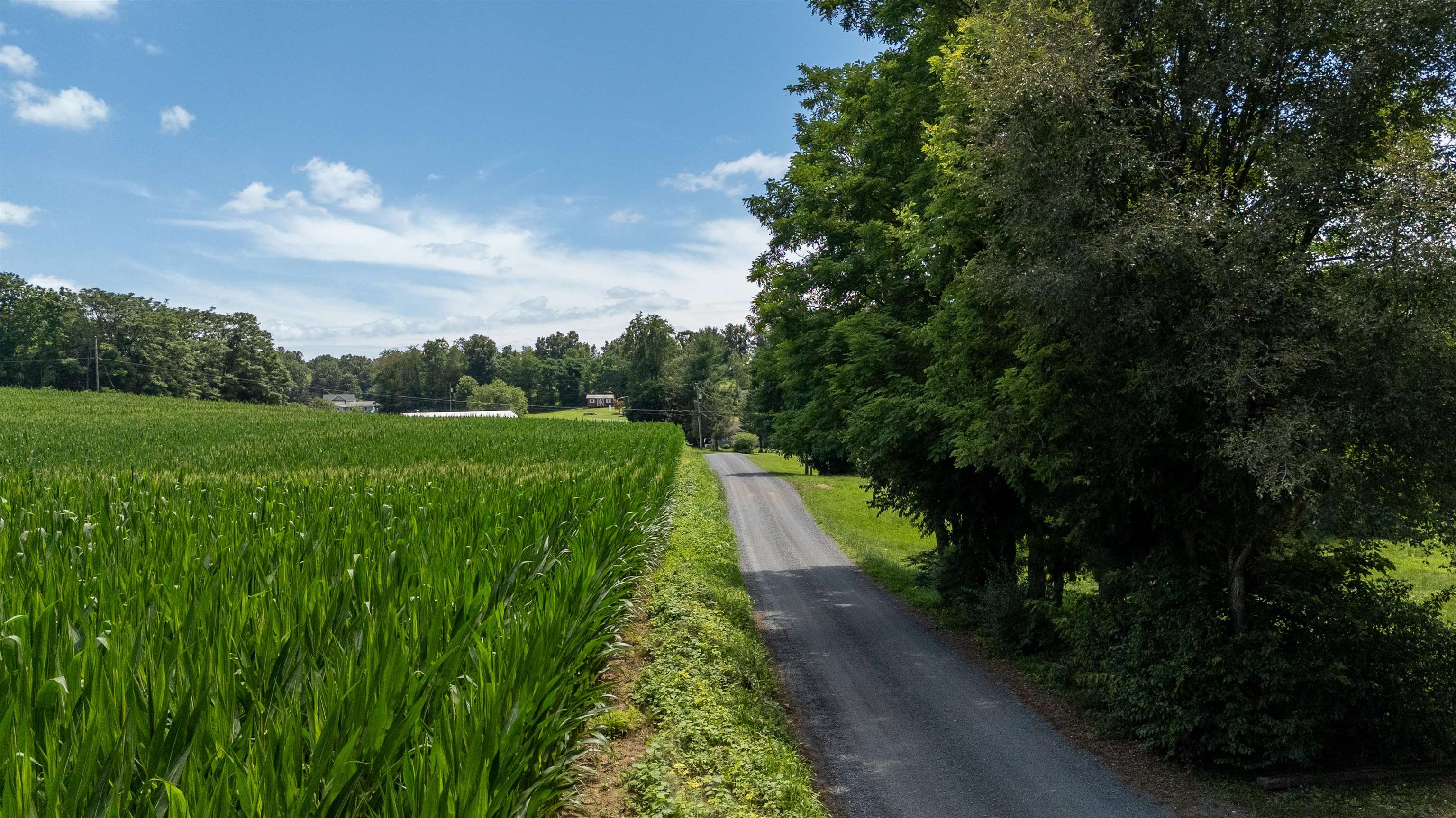 TBD NORTH POINT SCHOOL RD, WAYNESBORO, Virginia 22980, ,Land,TBD NORTH POINT SCHOOL RD,679517 MLS # 679517