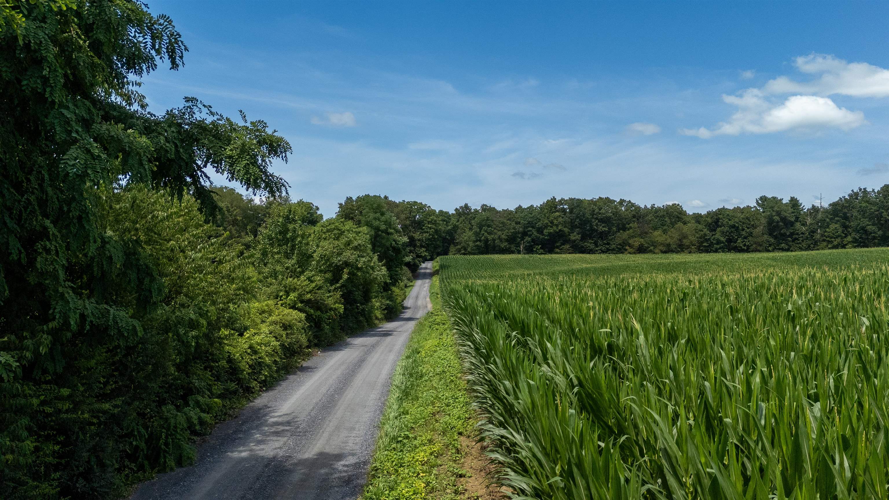 TBD NORTH POINT SCHOOL RD, WAYNESBORO, Virginia 22980, ,Land,TBD NORTH POINT SCHOOL RD,679517 MLS # 679517