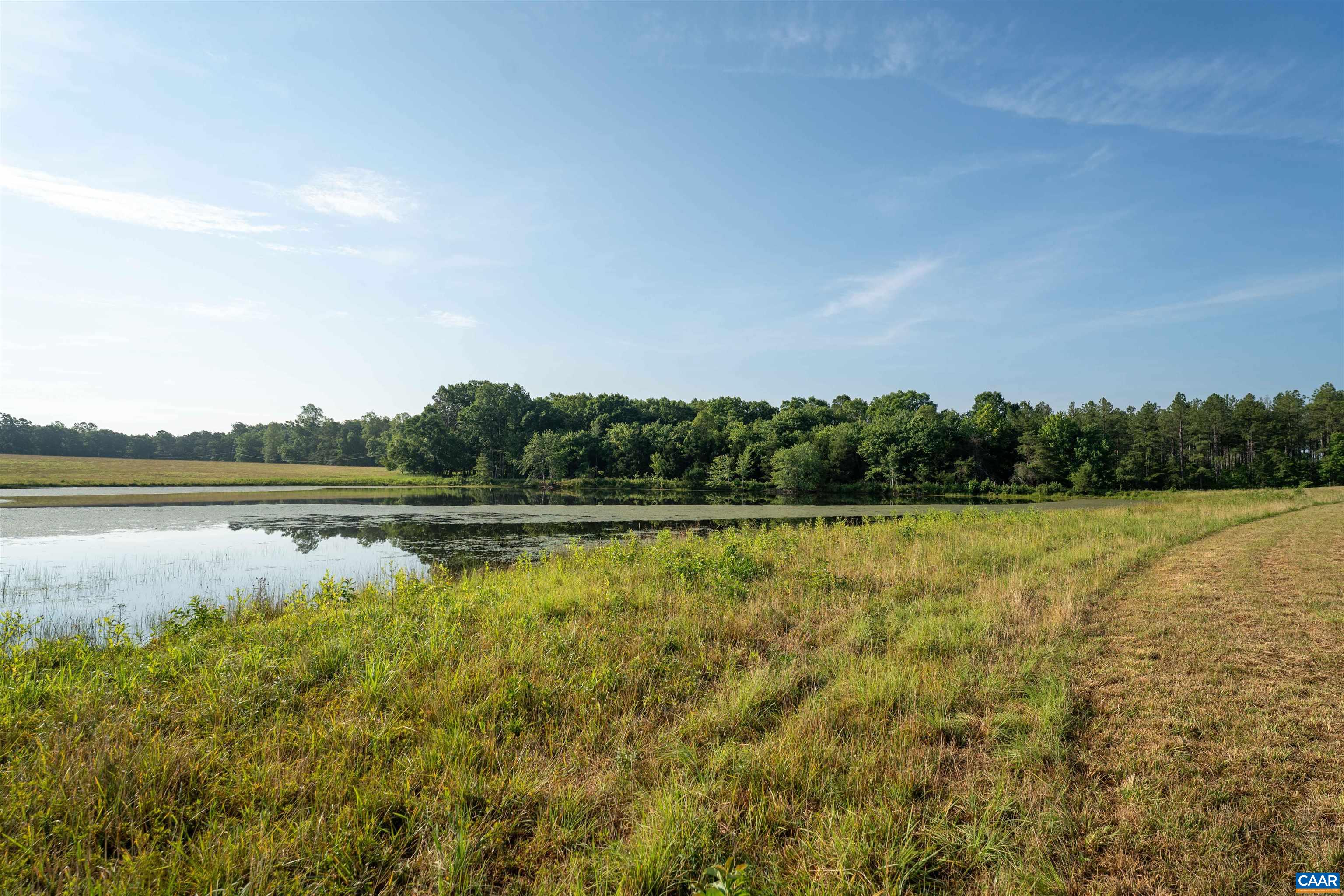 17 ROLLING RD S, SCOTTSVILLE, Virginia 24590, ,Land,17 ROLLING RD S,679524 MLS # 679524 17 ROLLING RD S, SCOTTSVILLE, Virginia 24590, ,Land,17 ROLLING RD S,679524 MLS # 679524