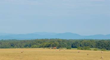 17 ROLLING RD S, SCOTTSVILLE, Virginia 24590, ,Land,17 ROLLING RD S,679524 MLS # 679524