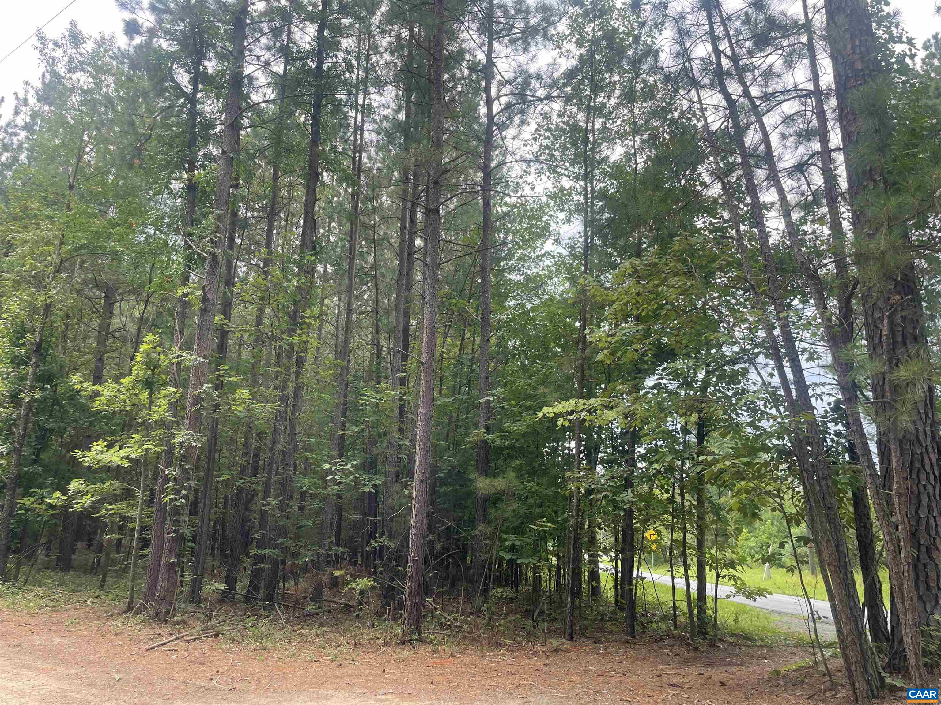 TBD DIXIE WINDS DR, BREMO BLUFF, Virginia 23022, ,Land,TBD DIXIE WINDS DR,679538 MLS # 679538 TBD DIXIE WINDS DR, BREMO BLUFF, Virginia 23022, ,Land,TBD DIXIE WINDS DR,679538 MLS # 679538