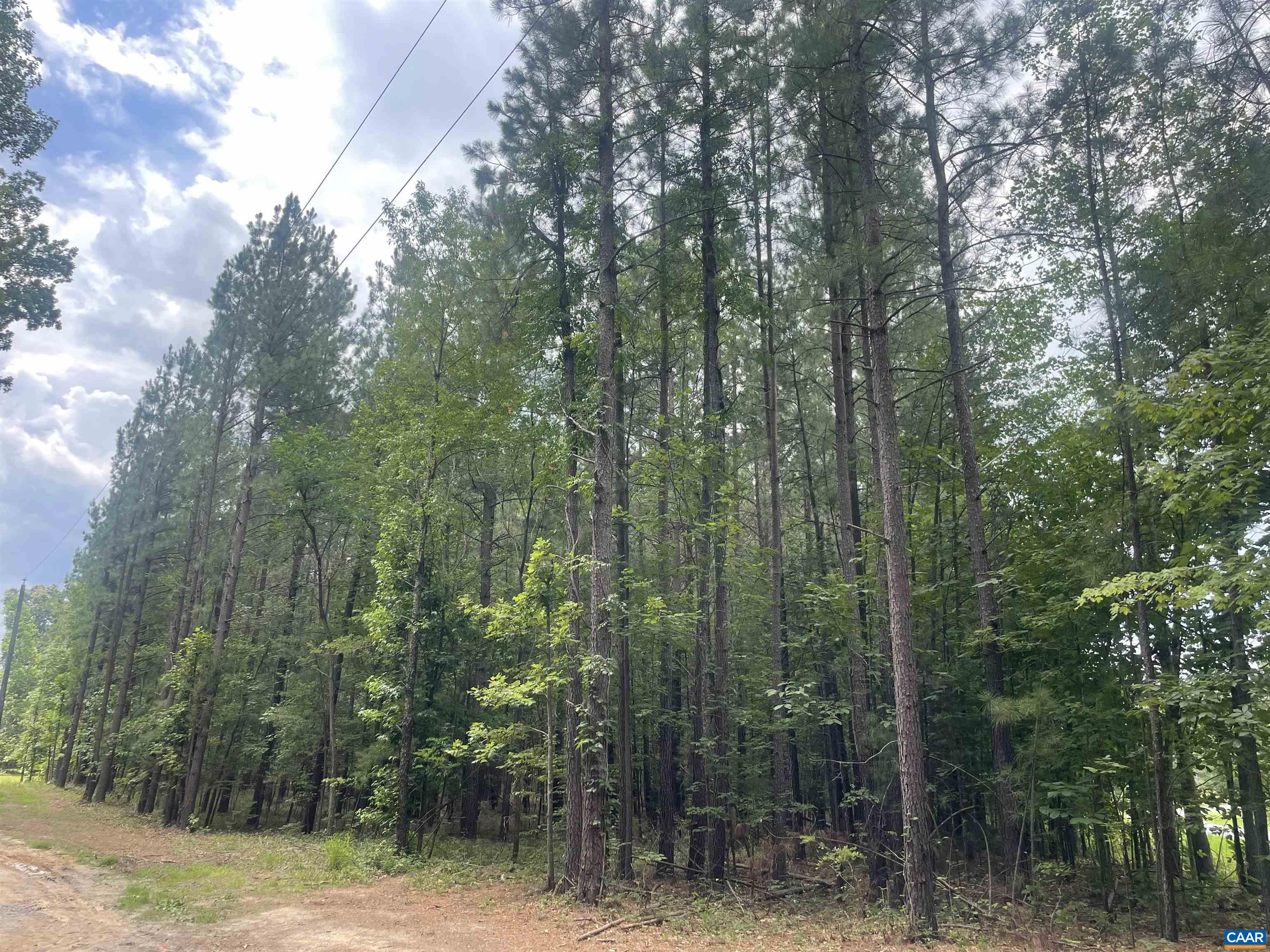 TBD DIXIE WINDS DR, BREMO BLUFF, Virginia 23022, ,Land,TBD DIXIE WINDS DR,679538 MLS # 679538 TBD DIXIE WINDS DR, BREMO BLUFF, Virginia 23022, ,Land,TBD DIXIE WINDS DR,679538 MLS # 679538