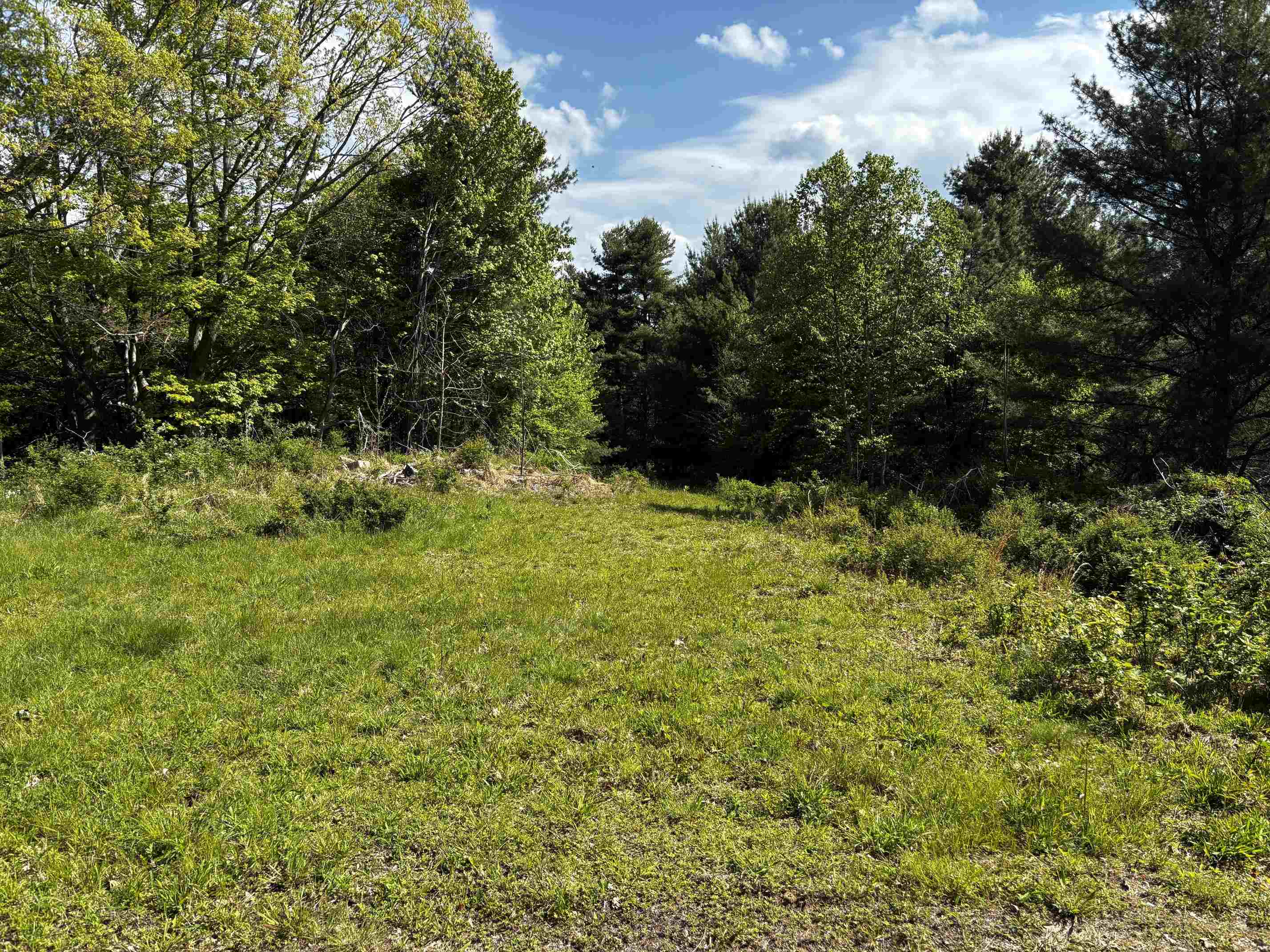 TBD, VESUVIUS, Virginia 24483, ,Land,TBD,679559 MLS # 679559 TBD, VESUVIUS, Virginia 24483, ,Land,TBD,679559 MLS # 679559