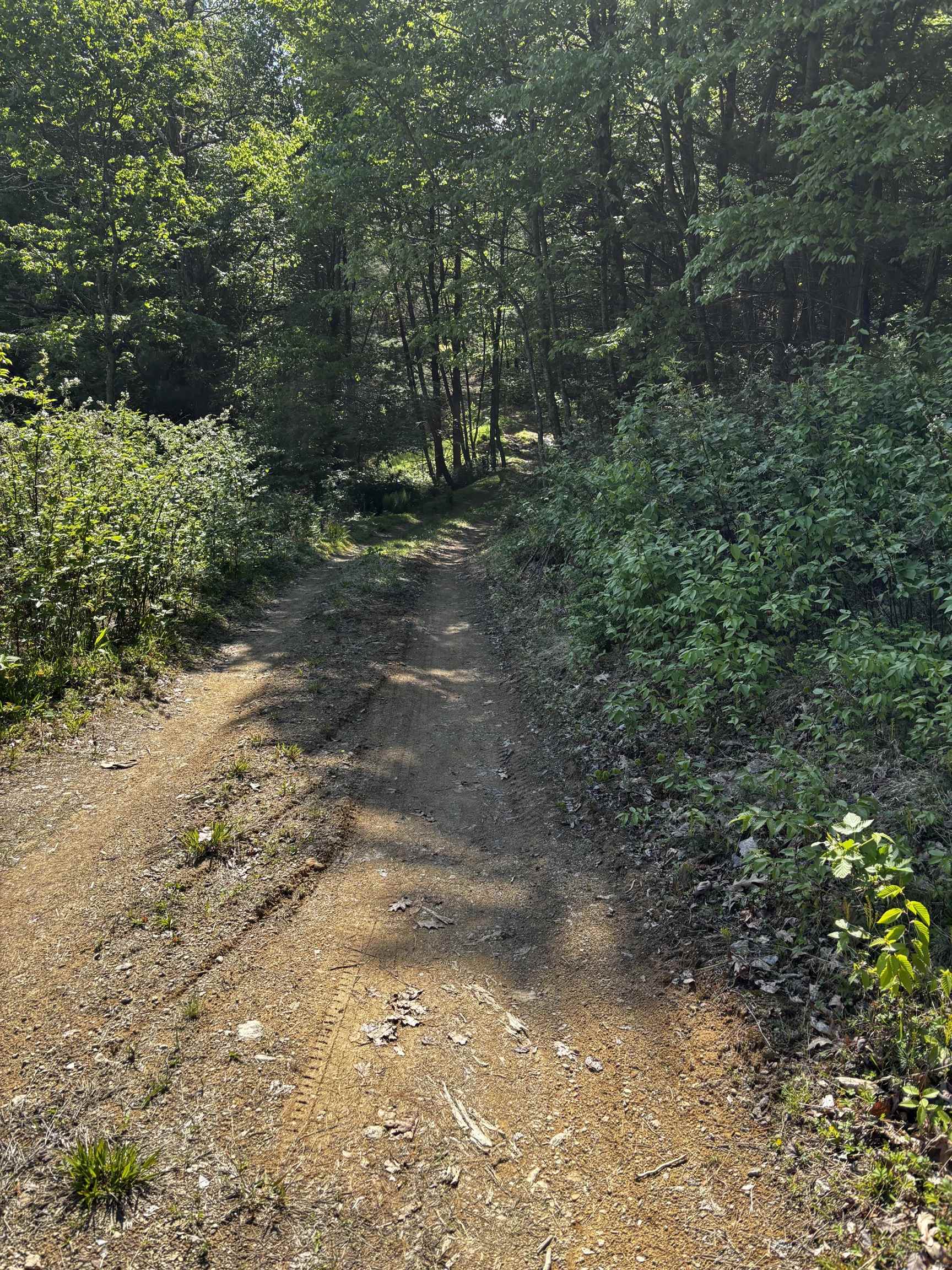 TBD, VESUVIUS, Virginia 24483, ,Land,TBD,679559 MLS # 679559 TBD, VESUVIUS, Virginia 24483, ,Land,TBD,679559 MLS # 679559