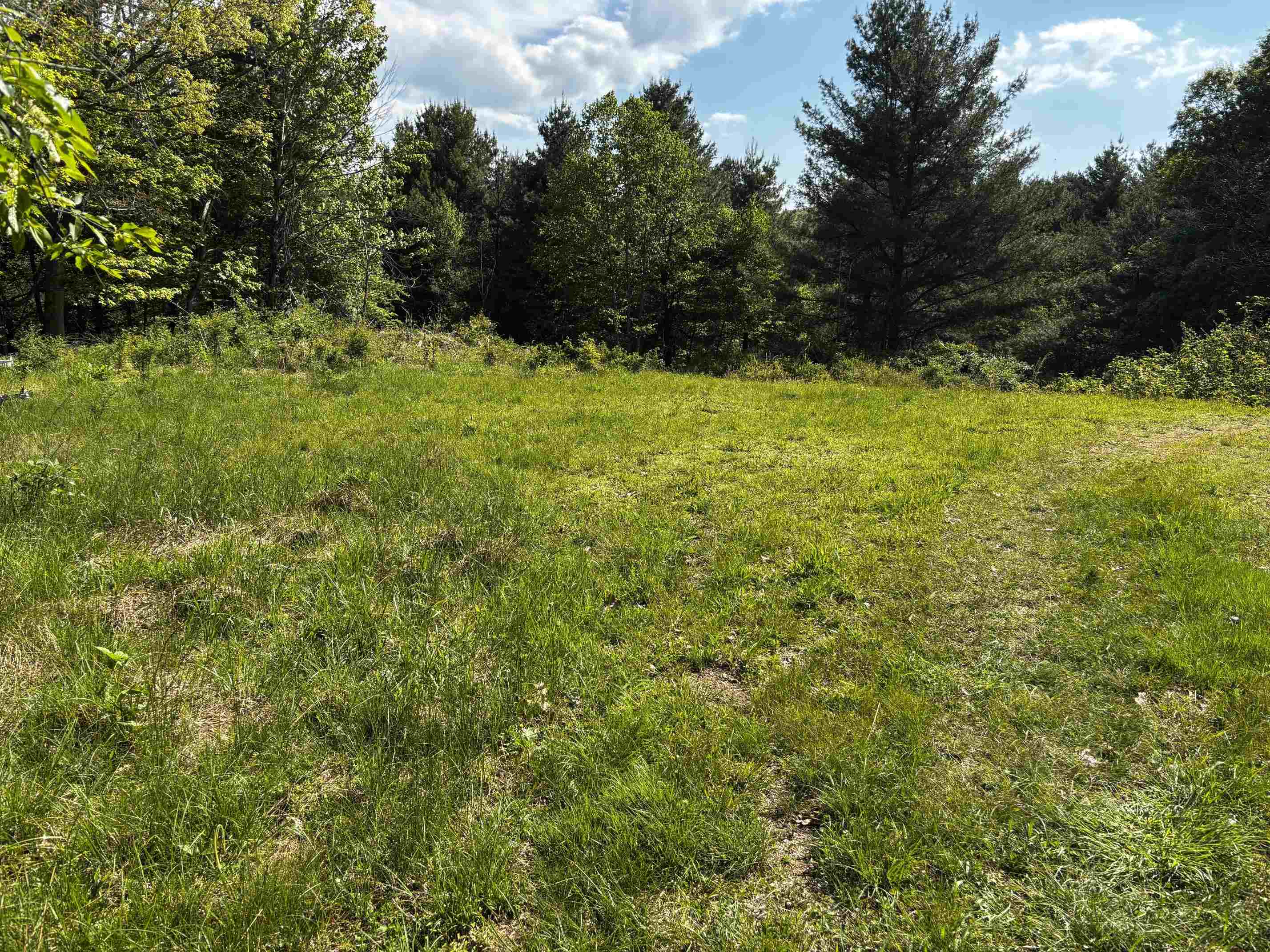 TBD, VESUVIUS, Virginia 24483, ,Land,TBD,679559 MLS # 679559 TBD, VESUVIUS, Virginia 24483, ,Land,TBD,679559 MLS # 679559