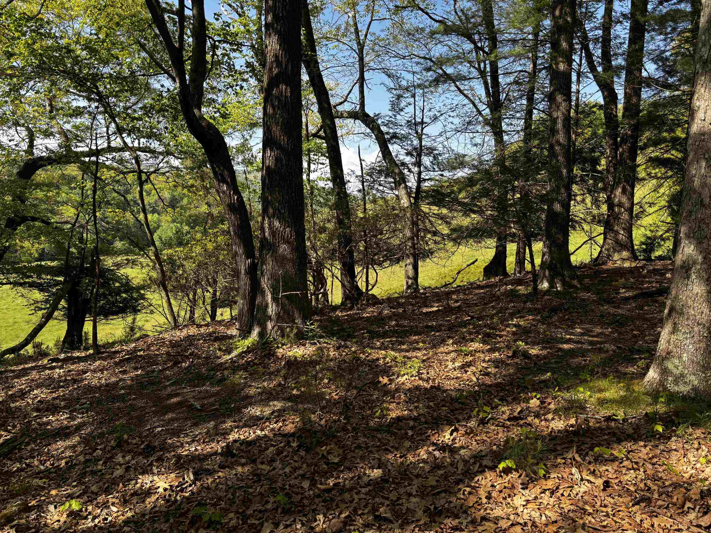 TBD, VESUVIUS, Virginia 24483, ,Land,TBD,679559 MLS # 679559 TBD, VESUVIUS, Virginia 24483, ,Land,TBD,679559 MLS # 679559