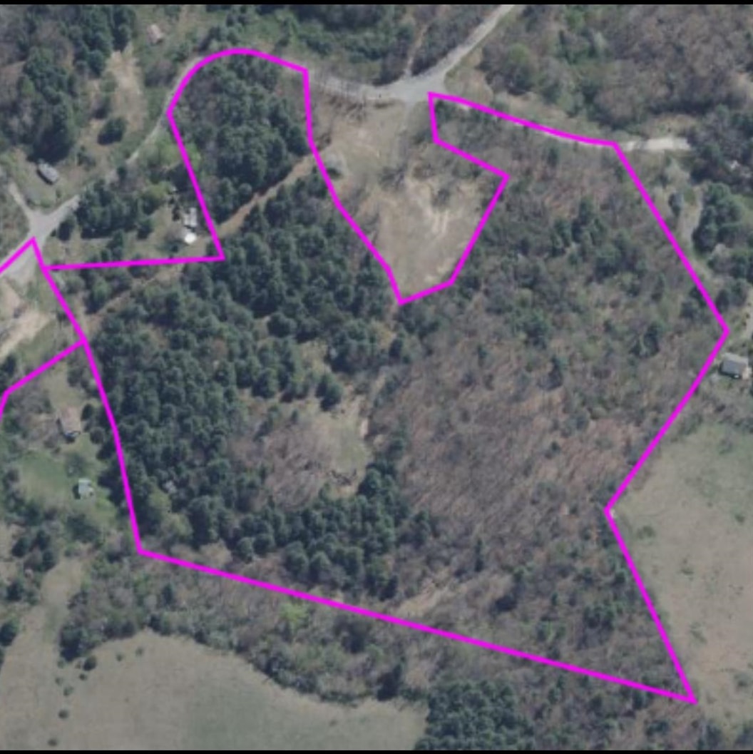 TBD, VESUVIUS, Virginia 24483, ,Land,TBD,679559 MLS # 679559 TBD, VESUVIUS, Virginia 24483, ,Land,TBD,679559 MLS # 679559