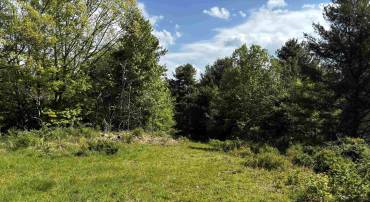 TBD, VESUVIUS, Virginia 24483, ,Land,TBD,679559 MLS # 679559