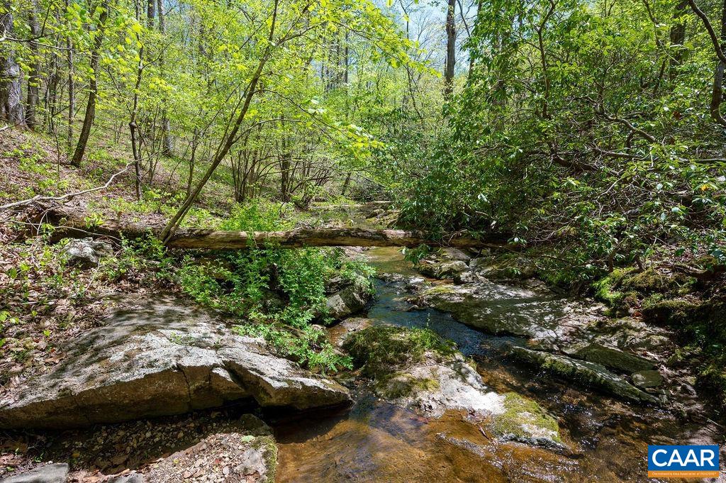 2230 ROCKY RUN, CHARLOTTESVILLE, Virginia 22901, 5 Bedrooms Bedrooms, ,5 BathroomsBathrooms,Residential,2230 ROCKY RUN,679241 MLS # 679241