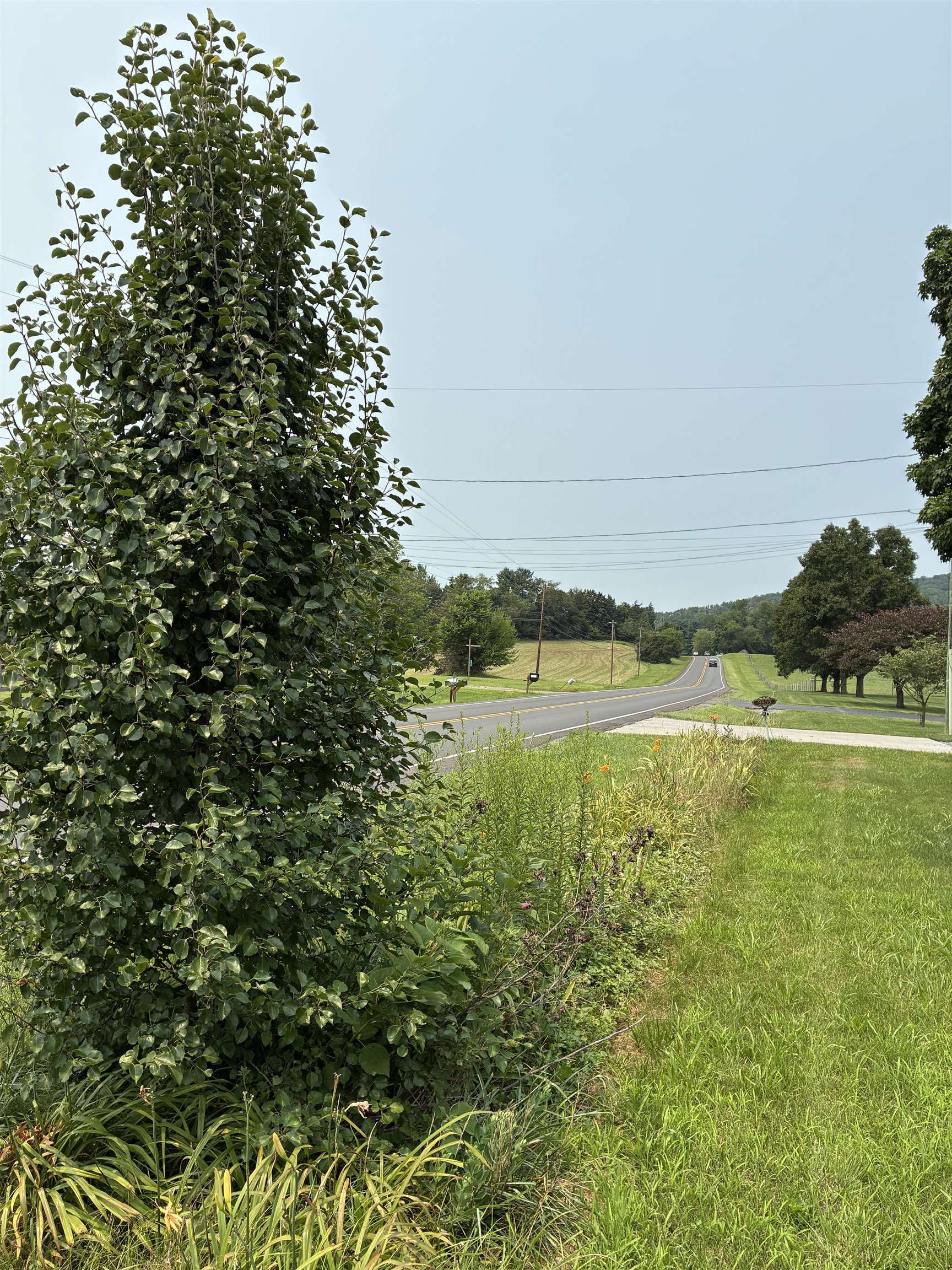 9449 PORT REPUBLIC RD, PORT REPUBLIC, Virginia 24471, 3 Bedrooms Bedrooms, ,1 BathroomBathrooms,Residential,9449 PORT REPUBLIC RD,679540 MLS # 679540 9449 PORT REPUBLIC RD, PORT REPUBLIC, Virginia 24471, 3 Bedrooms Bedrooms, ,1 BathroomBathrooms,Residential,9449 PORT REPUBLIC RD,679540 MLS # 679540