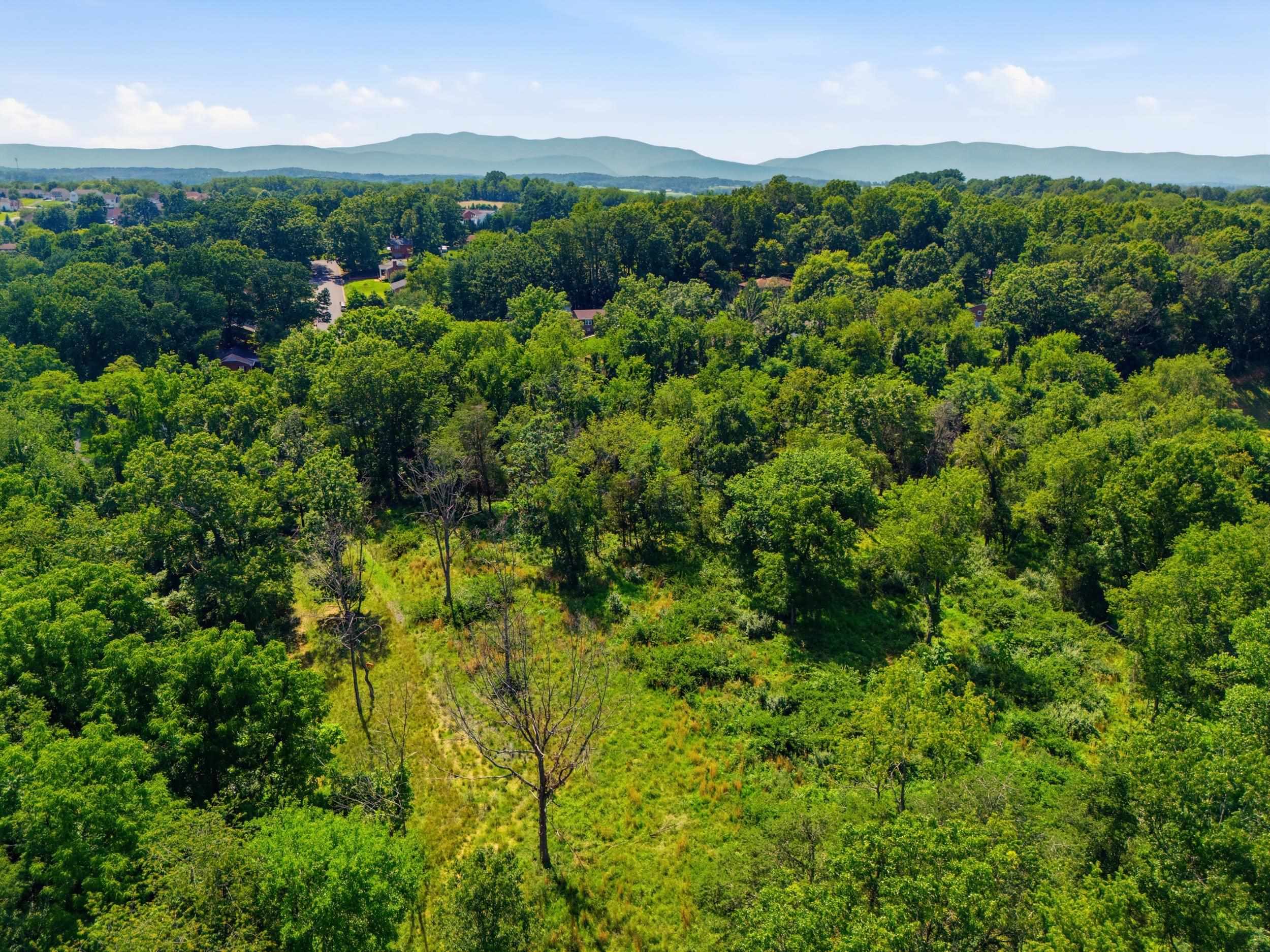 516 HILLCREST DR, STAUNTON, Virginia 24401, ,Land,516 HILLCREST DR,679605 MLS # 679605 516 HILLCREST DR, STAUNTON, Virginia 24401, ,Land,516 HILLCREST DR,679605 MLS # 679605