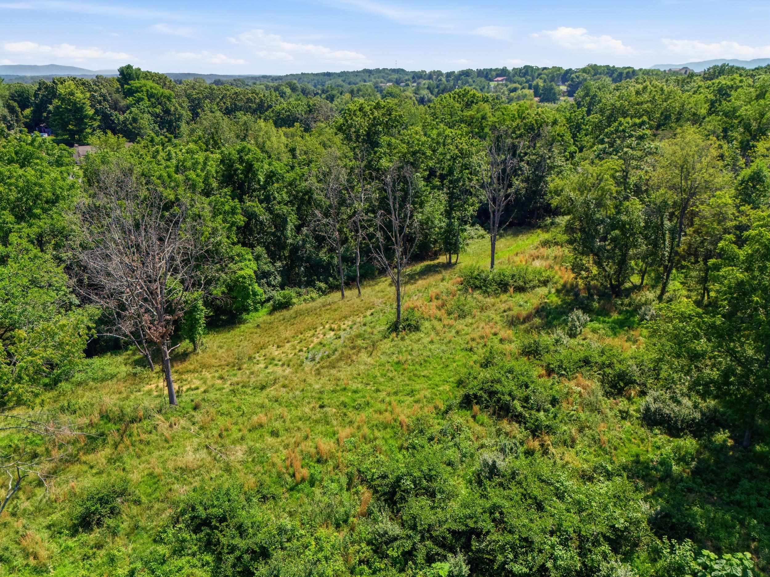 516 HILLCREST DR, STAUNTON, Virginia 24401, ,Land,516 HILLCREST DR,679605 MLS # 679605 516 HILLCREST DR, STAUNTON, Virginia 24401, ,Land,516 HILLCREST DR,679605 MLS # 679605