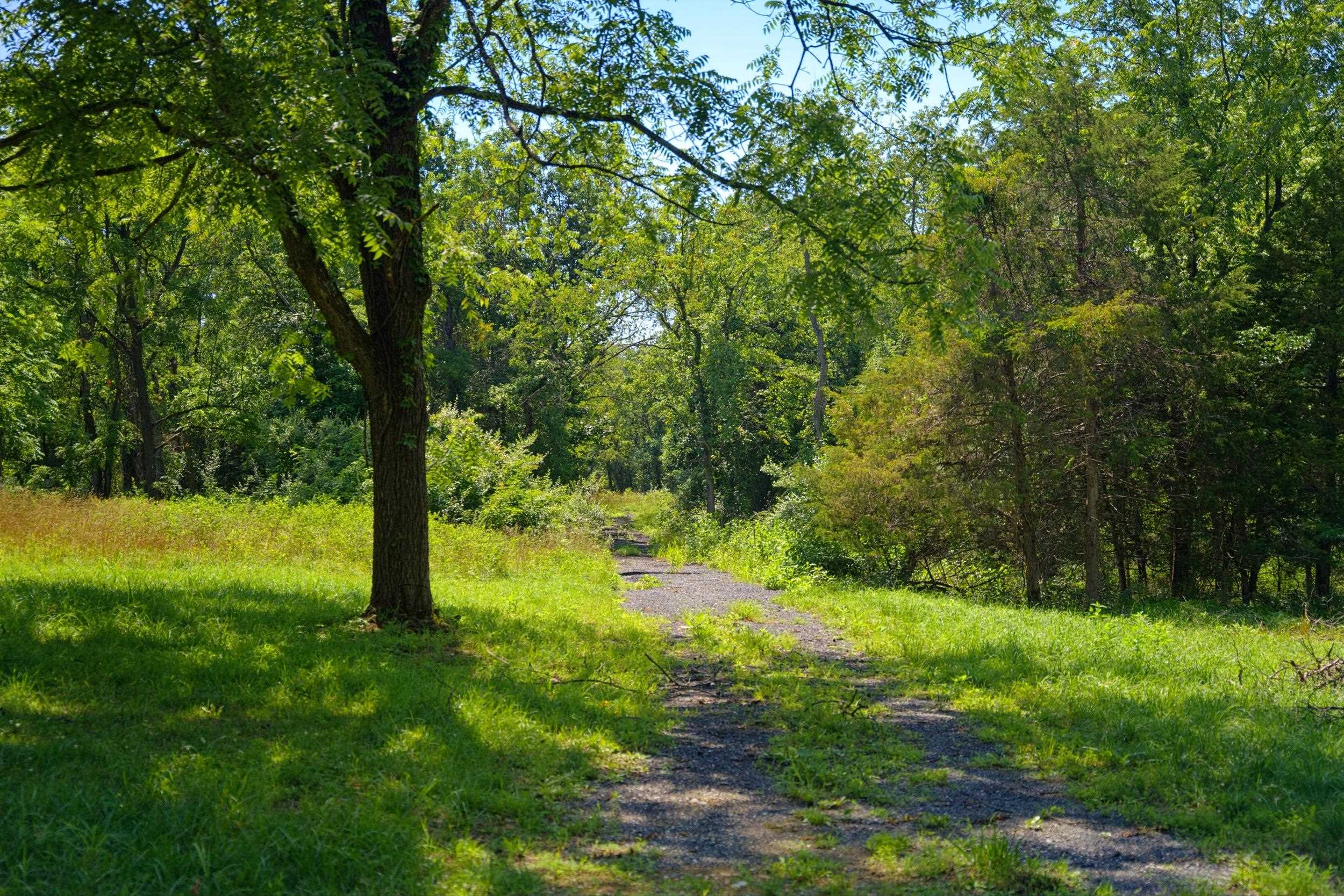 516 HILLCREST DR, STAUNTON, Virginia 24401, ,Land,516 HILLCREST DR,679605 MLS # 679605 516 HILLCREST DR, STAUNTON, Virginia 24401, ,Land,516 HILLCREST DR,679605 MLS # 679605