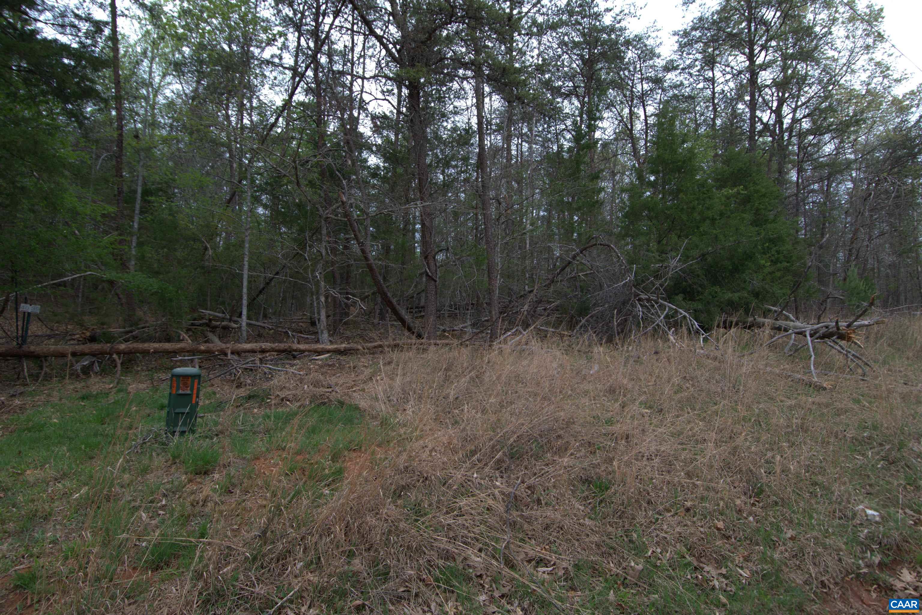 0 TUCSON LN, ARRINGTON, Virginia 22922, ,Land,0 TUCSON LN,679621 MLS # 679621 0 TUCSON LN, ARRINGTON, Virginia 22922, ,Land,0 TUCSON LN,679621 MLS # 679621